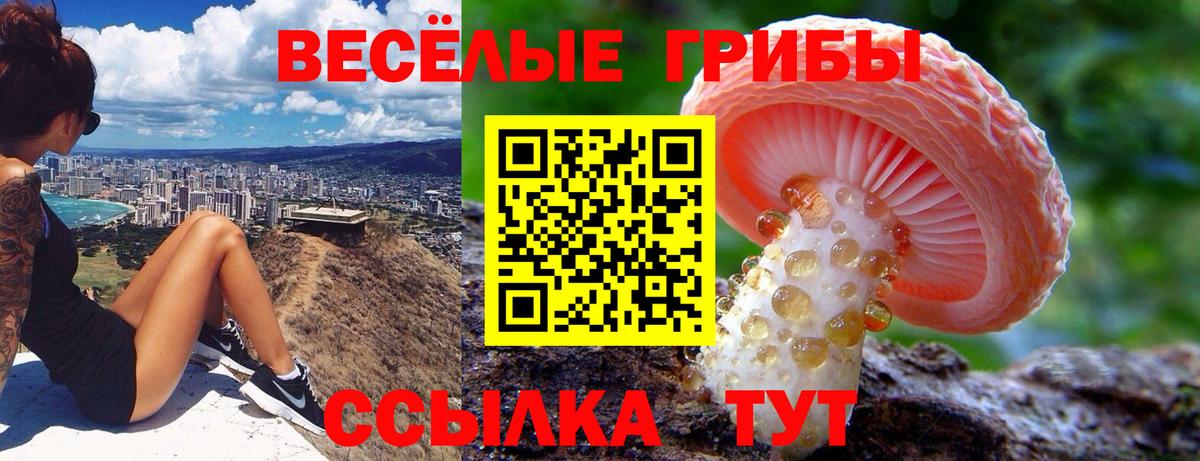 Псилоцибиновые грибы Magic Shrooms Кстово